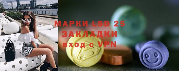 прущие грибы Армянск