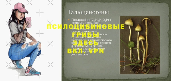 ешки Зеленокумск