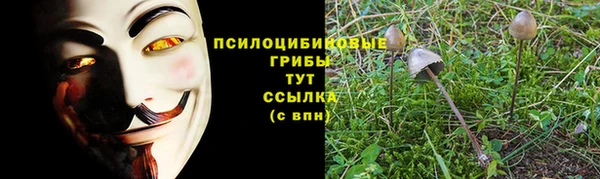 прущие грибы Армянск