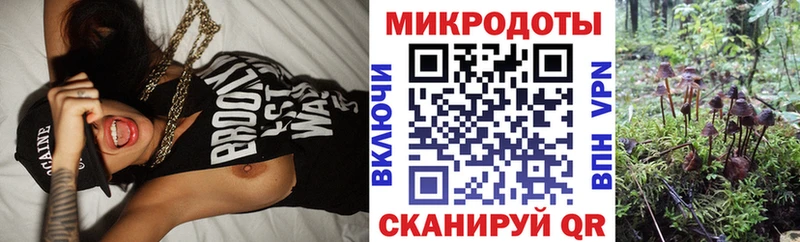 Псилоцибиновые грибы Magic Shrooms наркота Армянск